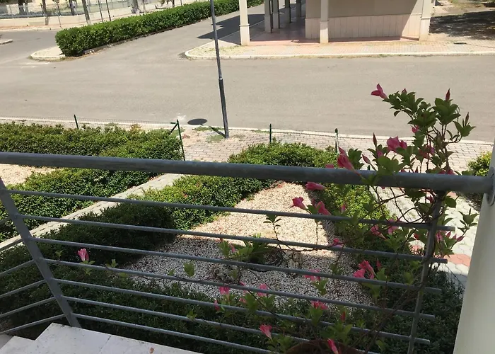 Afrodite Affittacamere Guest house